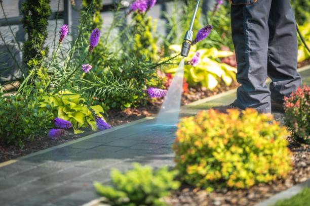 Best Spring Cleaning  in Lamont, CA